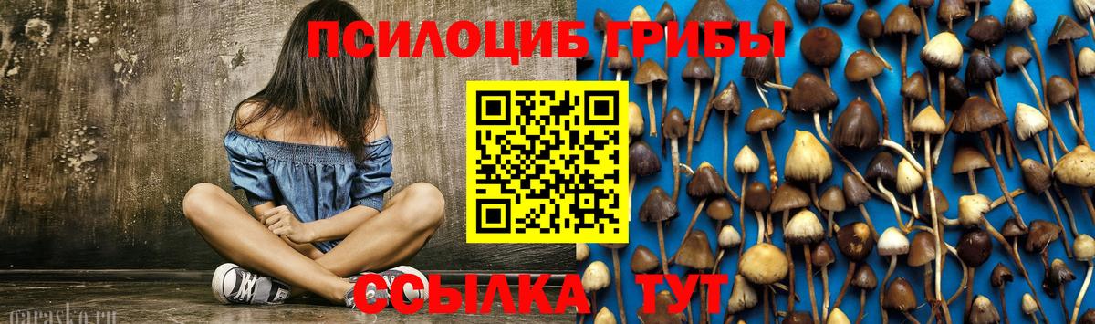 Галлюциногенные грибы Magic Shrooms  Галлюциногенные грибы Psilocybe  Красногорск  Вход с VPN 